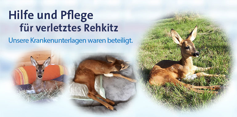 Hilfe und Pflege für verletztes Rehkitz - Unsere saugstarken MEDDAX Krankenunterlagen konnten bei der Genesung helfen